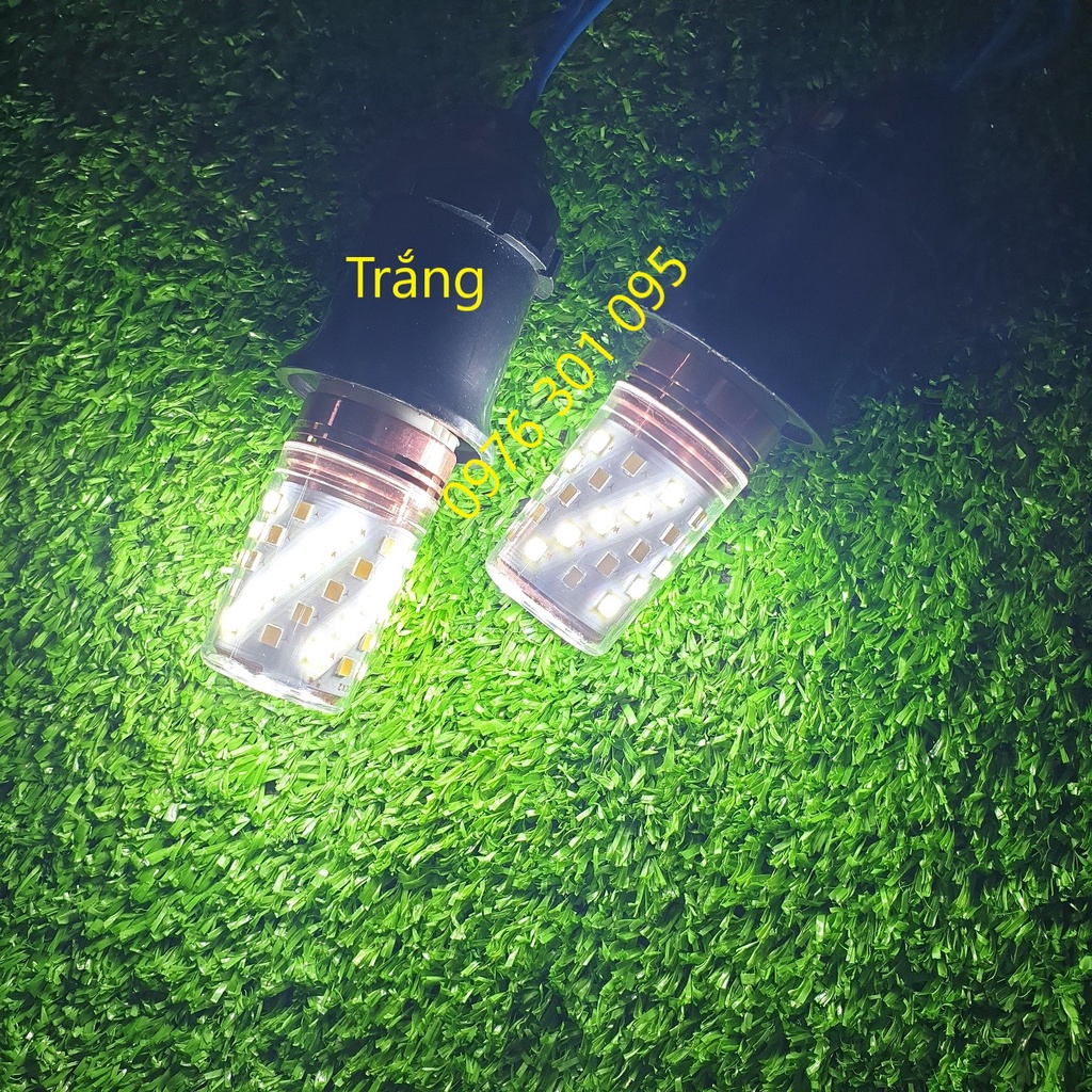 Bóng Đèn Trang Trí 3 Chế Độ (E14 - E27)