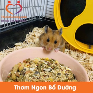 Thức Ăn Ngũ Cốc Dinh Dưỡng Căn Bản Cho Hamster - Ngon Hấp Dẫn - 500G