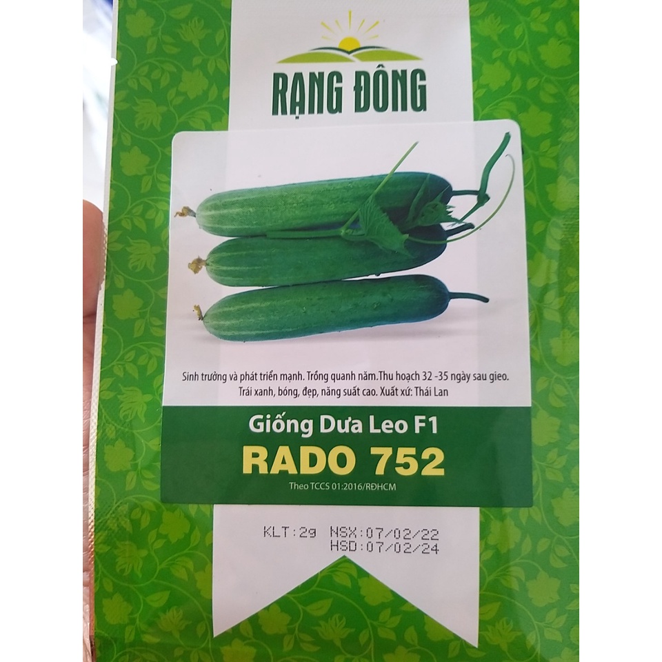 Hạt giống dưa leo F1 RADO 752 Rạng Đông gói 2g