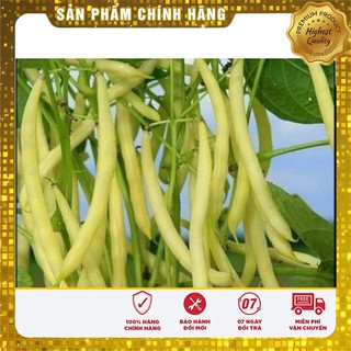 Hạt giống đậu cove vàng (50Gr)