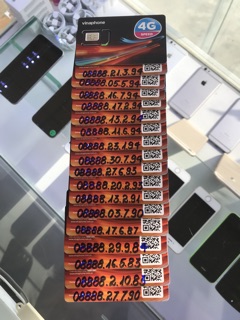 Sim tứ quý giữa, đuôi năm sinh
