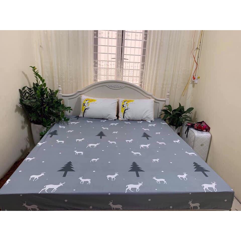 Drap bọc đệm chống thấm nước chất liệu cotton thoáng mát loại xịn 1,6x2m hoặc 1,8x2m - Ga trải giường bảo vệ nệm