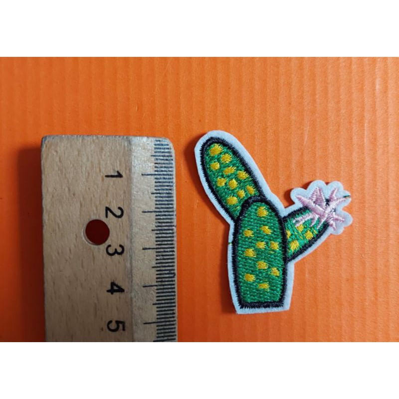 Hình ủi xương rồng mini trang trí