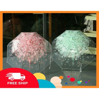 Combo 5 ô dù trong suốt 3D