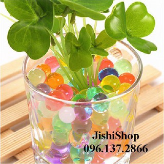  Hạt nở trồng cây màu trong suốt gói 10000 viên  V3038