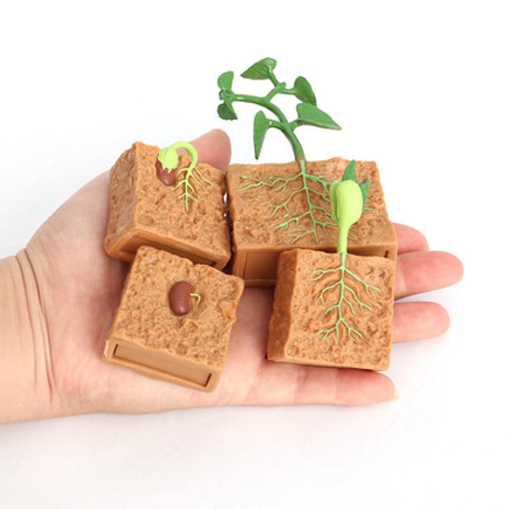 REBUY1 Mô Hình Đồ Chơi Khoa Học Bằng Nhựa PVC Cho Bé