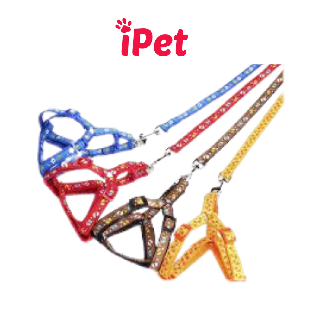 Dây Dắt Kèm Đai Người Cho Chó Mèo Dưới 5kg - iPet Shop