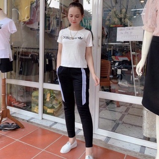 đồ bộ thể thao nữ chạy viền,Bộ thun hàng cotton 2021