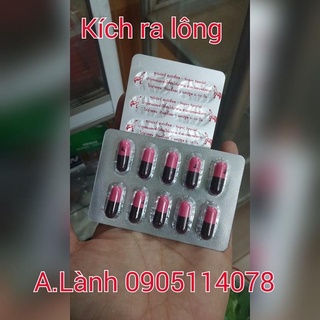 Kích mọc lông gà chọi