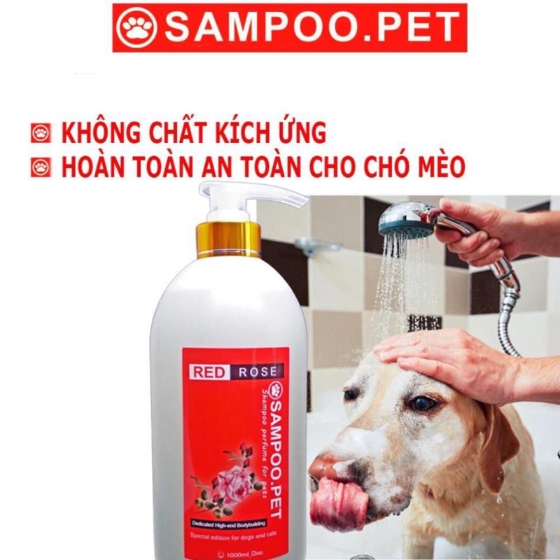 HN- Sữa Tắm Chó mèo Sampoo.pet thơm quý phái -Sữa tắm nước hoa cho thú cưng Thơm lâu tận 22h