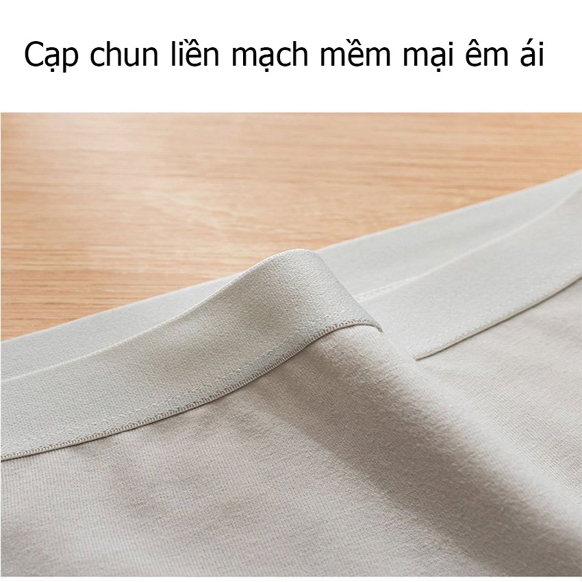 Quần lót cao cấp HUNA quần lót cotton kháng khuẩn thấm hút mồ hôi NH04 thun lạnh cao cấp thoáng mát nâng mông sexy mềm N