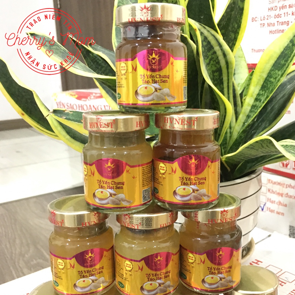 Tổ Yến Sào Chưng Táo Đỏ Hạt Sen Hoàng Việt (01 Hũ) Chưng Sẵn 70ml Chính Hãng Nha Trang Khánh Hòa Cho Người già, Người ốm | BigBuy360 - bigbuy360.vn