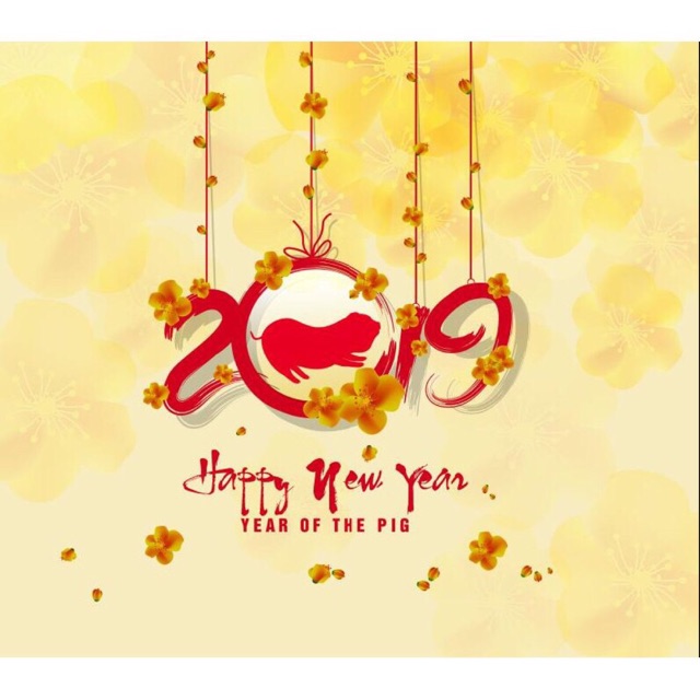 Decal Trang Trí Tết - Rèm Dây 2019 Heo Đỏ ( ẢNH + VIDEO THẬT )