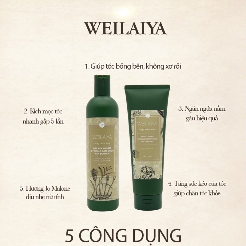 Bộ Dầu Gội Weilaiya, Dầu Xả Weilaiya Tinh Chất Gừng  Hỗ Trợ Móc Tóc Và Mọc Tóc