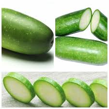 (Gói 15 hạt)Hạt giống bí đao siêu trái ,dễ trồng kháng bệnh tốt năng suất cao-Tổng kho hạt giống giá rẻ