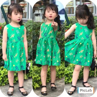 Bộ bé chat dui