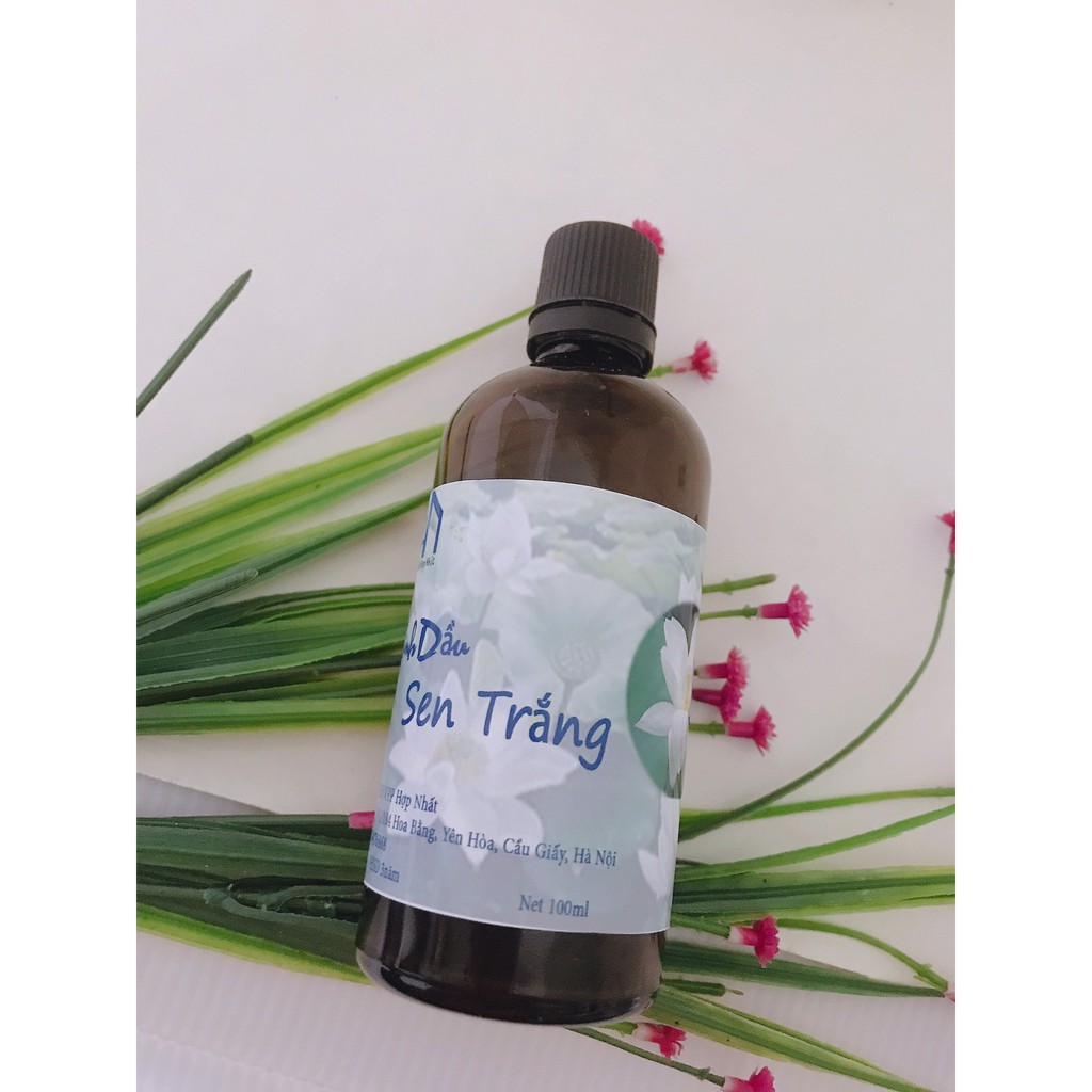 Tinh dầu thơm xông phòng hương Hoa Sen Trắng lọ 100ml