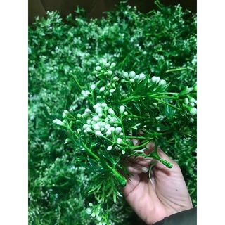 Cỏ điểm 🍀🍀🍀🍀🍀