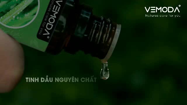 Tinh dầu Sả Chanh nguyên chất cao cấp giúp khử mùi, thơm phòng, đuổi muỗi, tinh dầu xông phòng khách sạn, spa | BigBuy360 - bigbuy360.vn