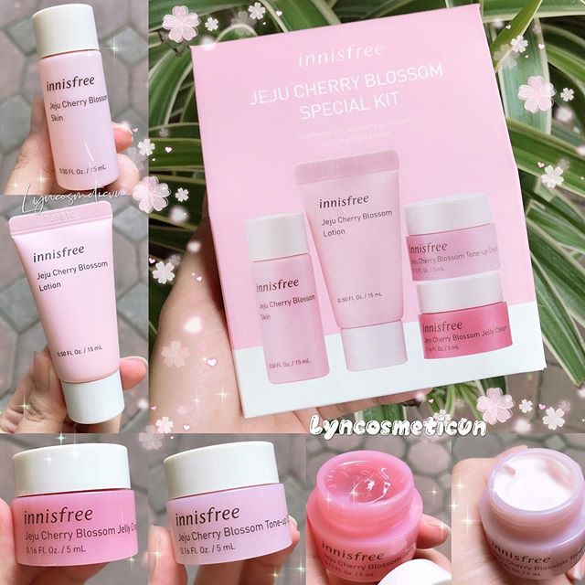 BỘ KIT DƯỠNG TRẮNG HOA ANH ĐÀO 𝐈𝐧𝐧𝐢𝐬𝐟𝐫𝐞𝐞 𝐉𝐞𝐣𝐮 𝐂𝐡𝐞𝐫𝐫𝐲 𝐁𝐥𝐨𝐬𝐬𝐨𝐦 𝐒𝐩𝐞𝐜𝐢𝐚𝐥 𝐊𝐢𝐭