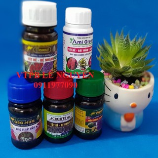COMBO THẦN THÁNH CHO LAN
