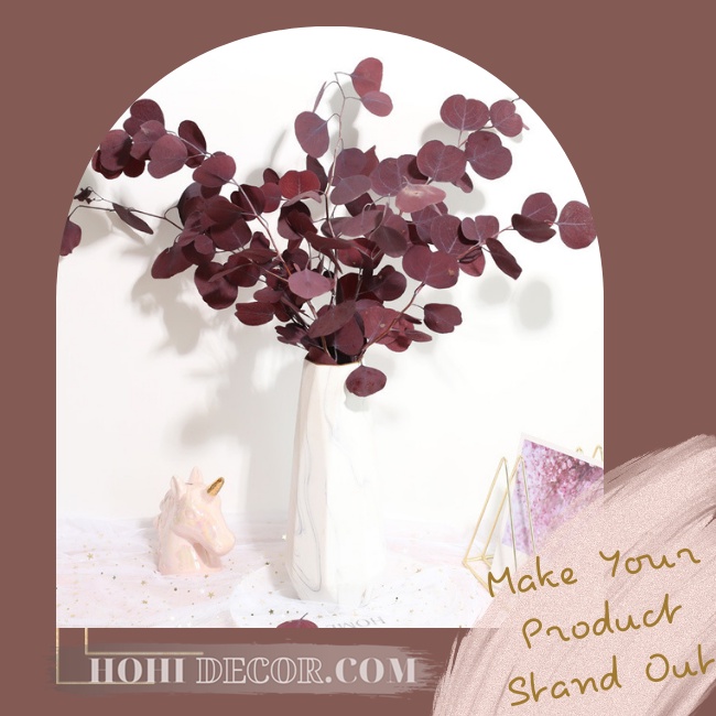 Cành Bạch Đàn Lá Tròn Tai Voi Khô Tự Nhiên Trang Trí Chụp Ảnh Sản Phẩm Đẹp - Shop Hohi Decor
