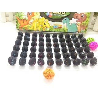 Trứng khủng long mini size tự nở