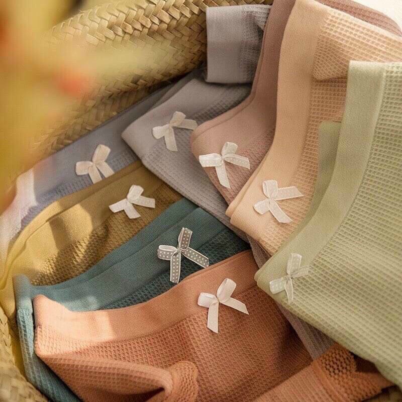 Quần lót cotton sợi bông thông hơi, thoáng khí viền ren CAO CẤP