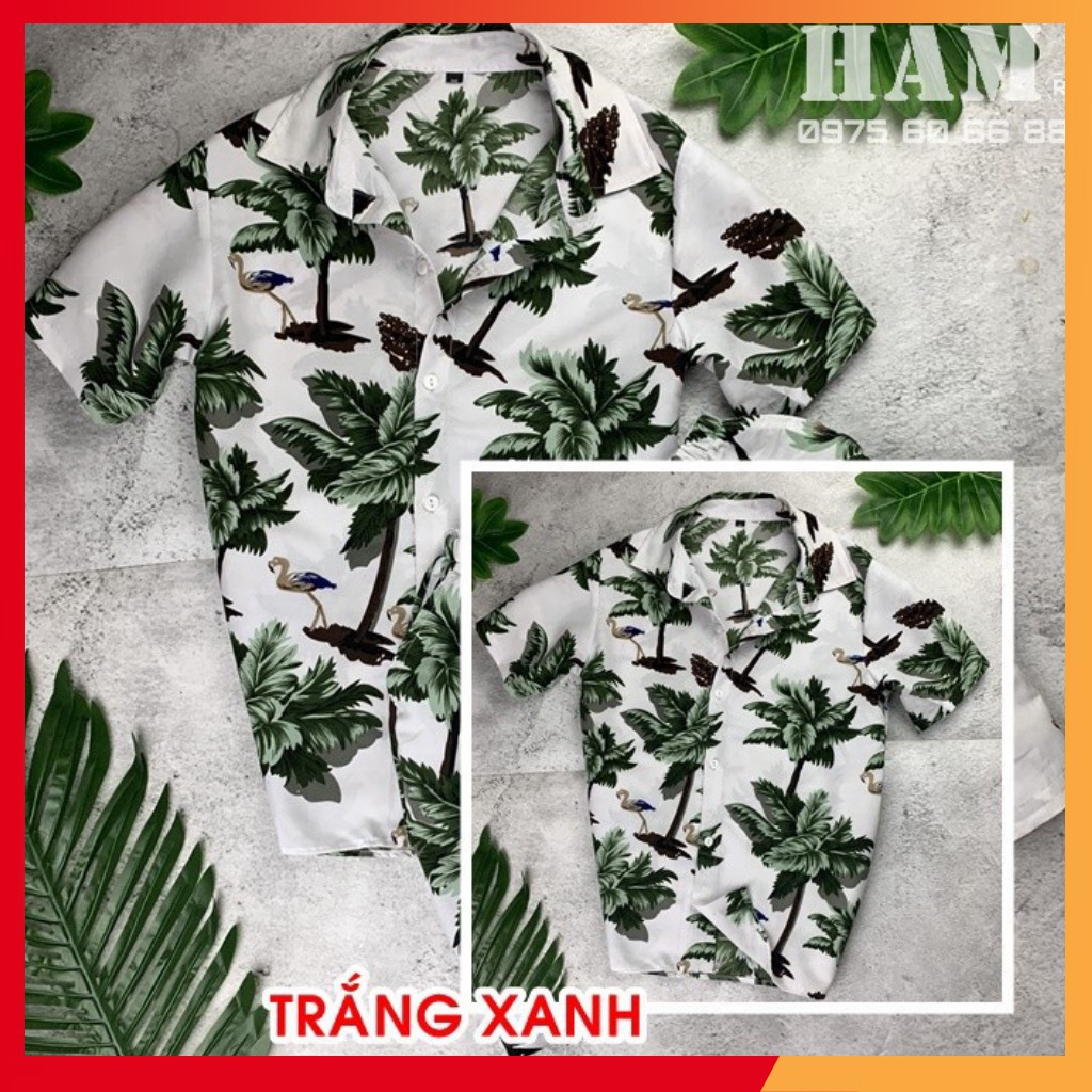 [Mã WA1606 giảm 15% đơn 99k] Bộ Đồ Đi Biển Cho Cặp Đôi, Đội Nhóm, Công Ty, Gia Đình, Bộ Đi Biển Đẹp Năm 2020 | BigBuy360 - bigbuy360.vn