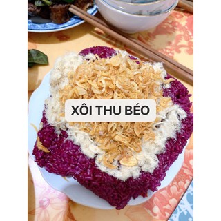 🌱🌱🌱 CÂY GIỐNG LÁ CẨM TÍM 🌱🌱🌱