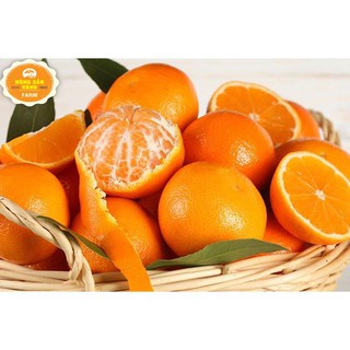 Bột Vỏ Cam 100g