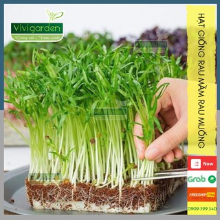 Bộ gói hạt giống Rau mầm rau muống
