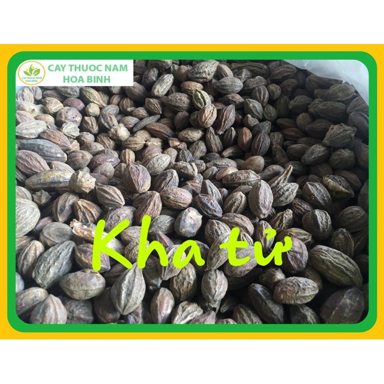 [GIÁ BÁN BUÔN] 500g Kha Tử loại 1 (Khô, Sạch, Đẹp, Đều)