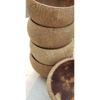 Chén gáo dừa (Bát gáo dừa) xinh xắn