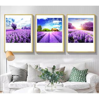 Bộ 3 Tranh treo tường Cánh Đồng Lavender tặng kèm đinh 3 chân để treo