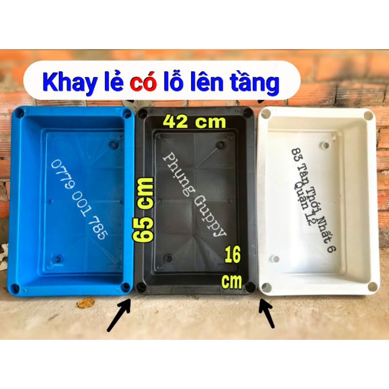 Khay Nhựa Đen Xếp Tầng Nuôi Cá, Trồng Rau 65x42x16 (Không kèm chân)