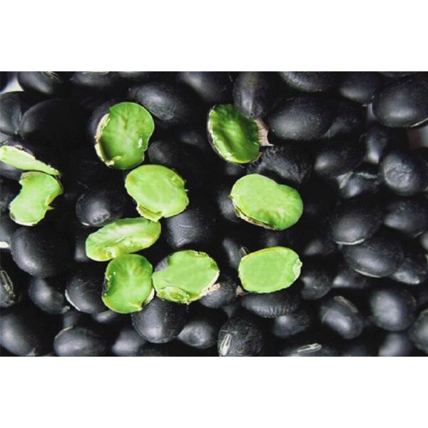 500gr Đậu Đen Xanh Lòng - Đỗ Đen Xanh Lòng Hữu Cơ Organic Sạch Thuần Chủng - Nông Sản Quê SallyFood | BigBuy360 - bigbuy360.vn