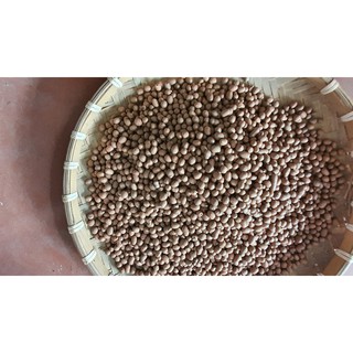 Hạt đất nung popper Thái Lan túi 100g