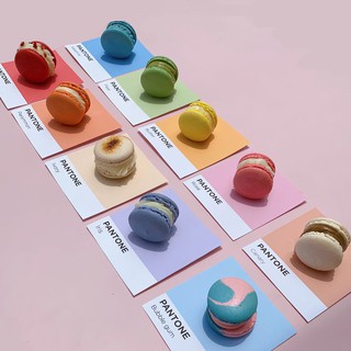 [CÓ SẴN] SHIRE Bánh Macaron Hàn Quốc - Size lớn - 10 vị