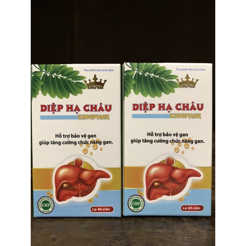 Diệp Hạ Châu Kingphar hỗ trợ giải độc, khôi phục chức năng bình thường của gan - chai 40viên