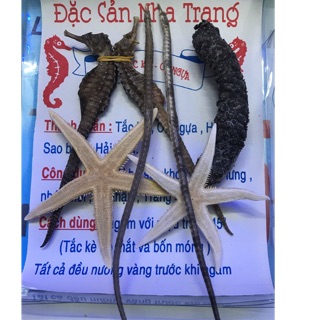 [ Bộ ] 2 cá ngựa - 1 hải sâm - 2 hải long - 5 sao biển