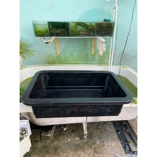Combo 5 chậu/khay trồng rau 65×43×17