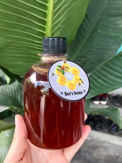 [KHÁNH HOÀ] 🐝Mật ong hoa cà phê Lâm Đồng (chai 500ml)