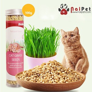 Hạt Giống Cỏ Tươi Cho  Mèo Cat Grass Seeds Bioline 100g