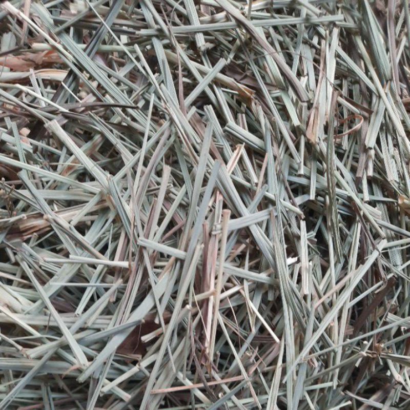 SẢ KHÔ GỘI ĐẦU TỐT CHO TÓC. 100GR