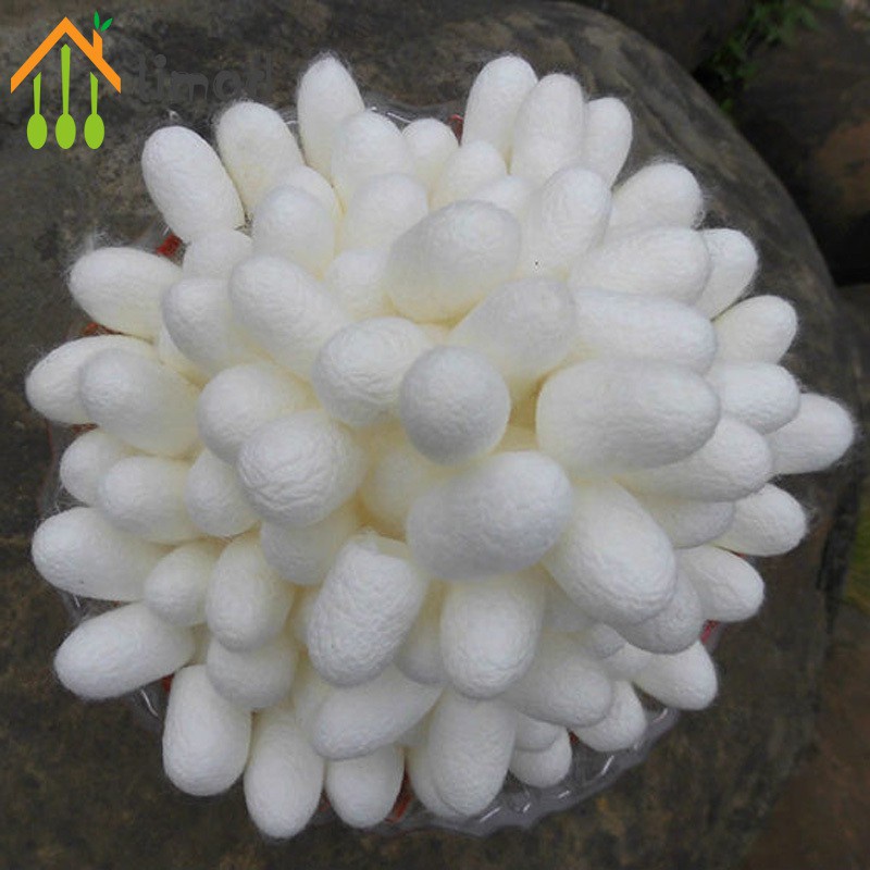 【COD】# limad 100Pcs Organic Natural Silk Cocoons Silkworm Balls Facial Skin Care Scrub Purifying Acne Anti Aging Whitening