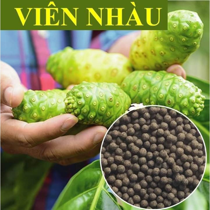 Viên nhàu Adeva Noni ( Adeva Noni Pellet)