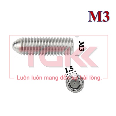 Vít trí đầu bi inox 304 M3