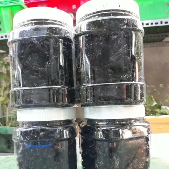 Rong biển cháy tỏi (50g)
