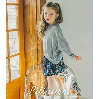 (100,110,130)Áo nỉ cá mỏng cánh dơi lilipurri 3 màu